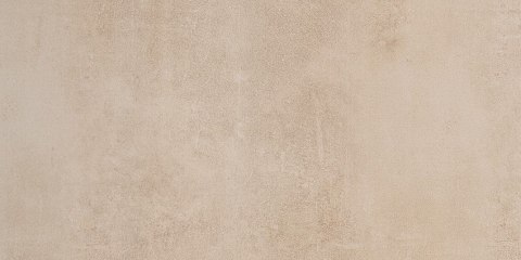 BASICONE FORTE BEIGE 30x60 g.2