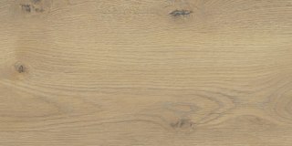 TAIGA / SGR256-1 BEIGE 30x60 G.1