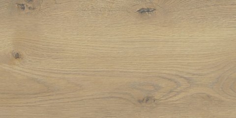 TAIGA / SGR256-1 BEIGE 30x60 G.1