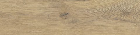 TAIGA / SGR245-1 WOOD BEIGE 30X120 G.1