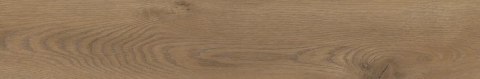 TAIGA / SGR246-1 WOOD BROWN 30X120 G.1
